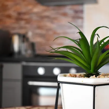 Vujica, Okrug Gornji * טרוגיר